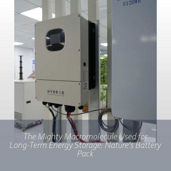 The Mighty Macromolecule Used for Long-Term Energy Storage: Nature's Battery Pack